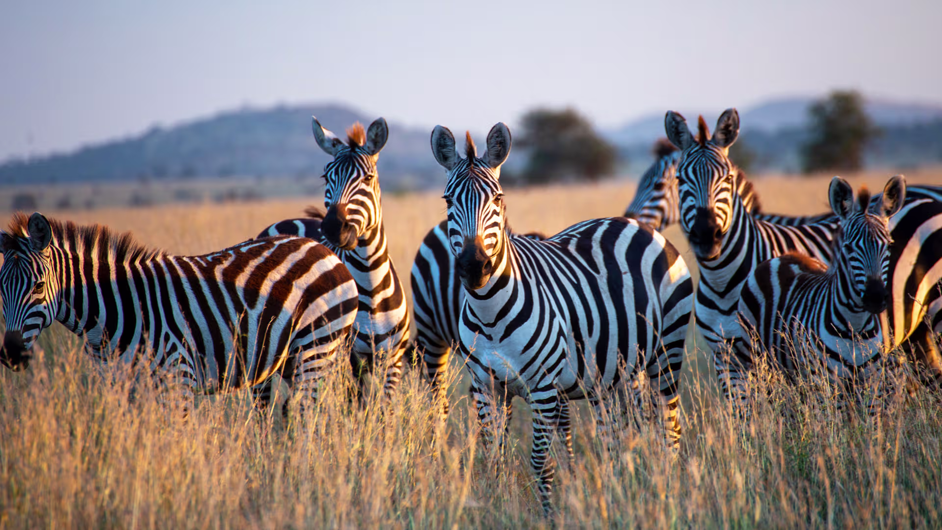 Botswana