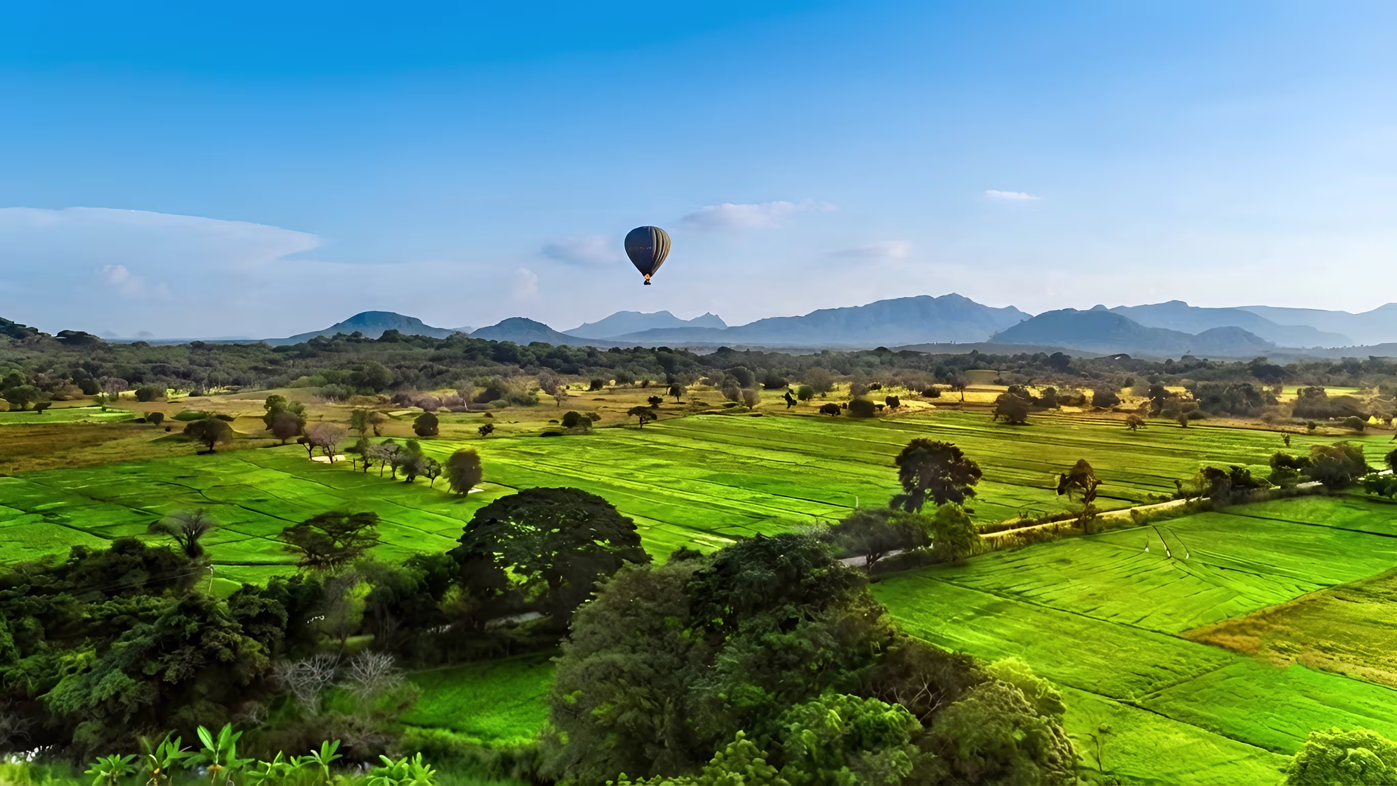 Scenic view of Habarana