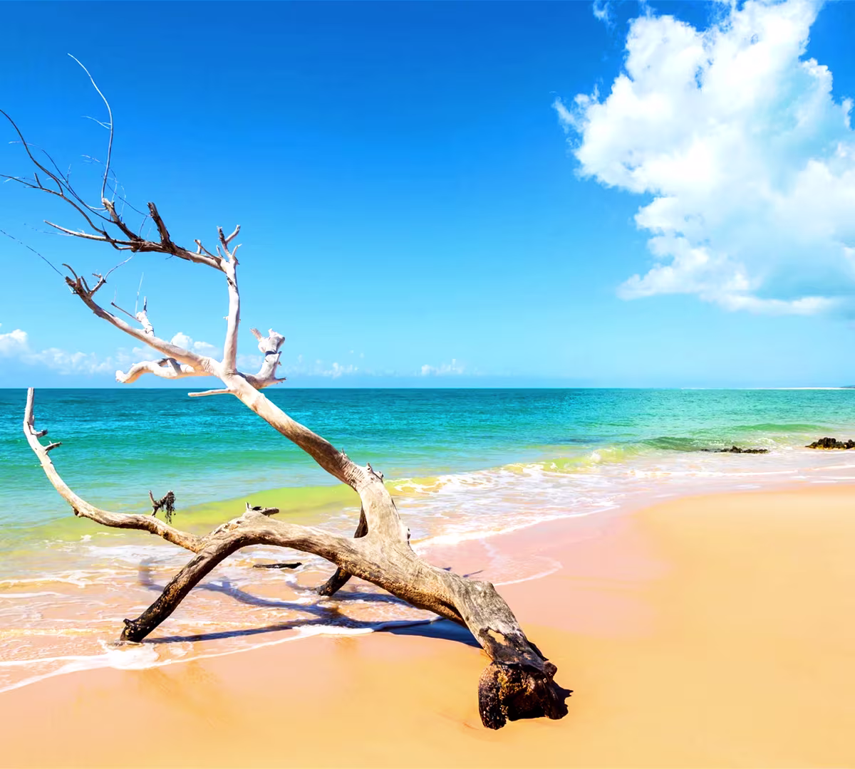 Destination highlights