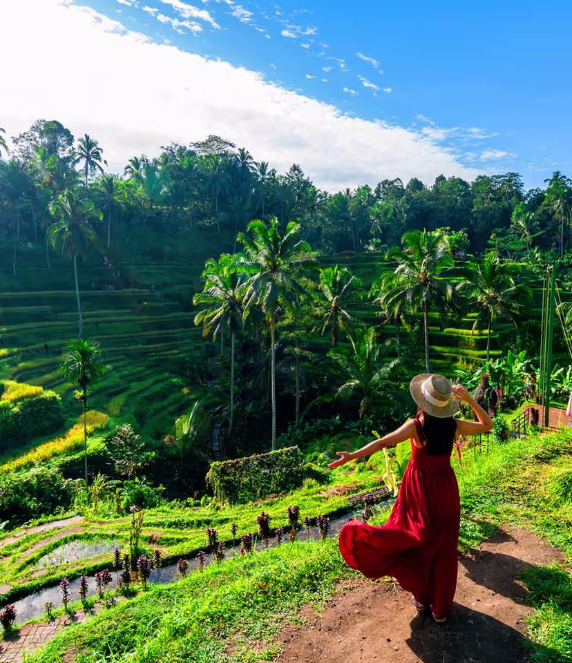 Top Things to Do in Bali 