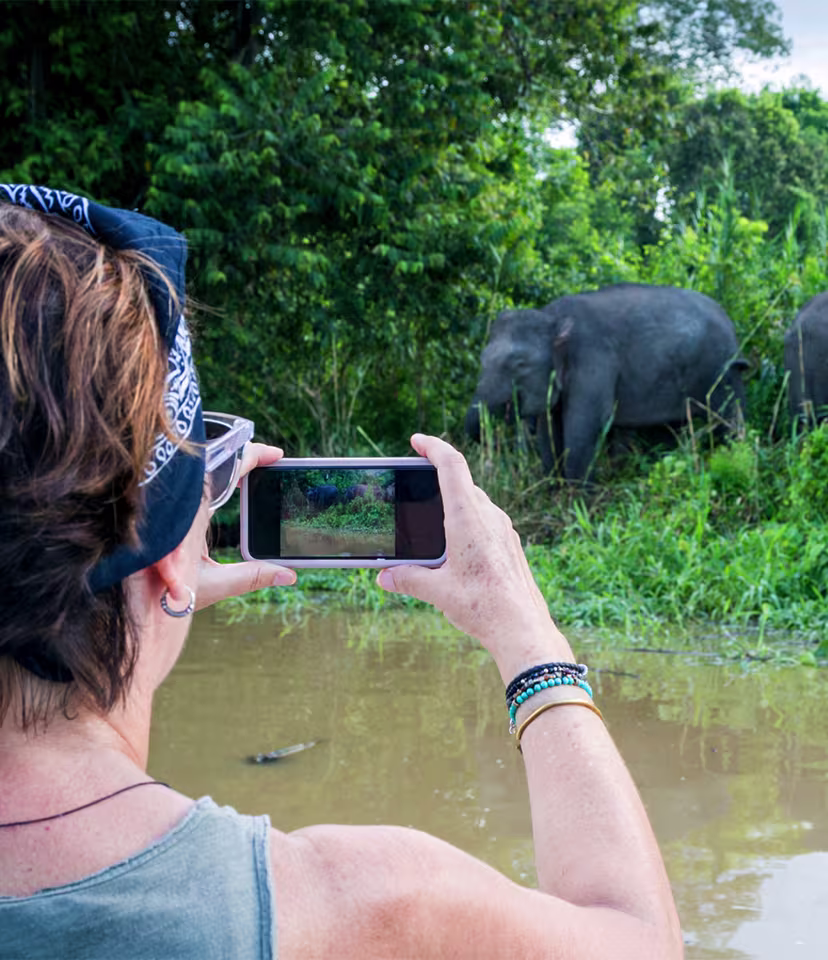 Things to Do in Borneo 