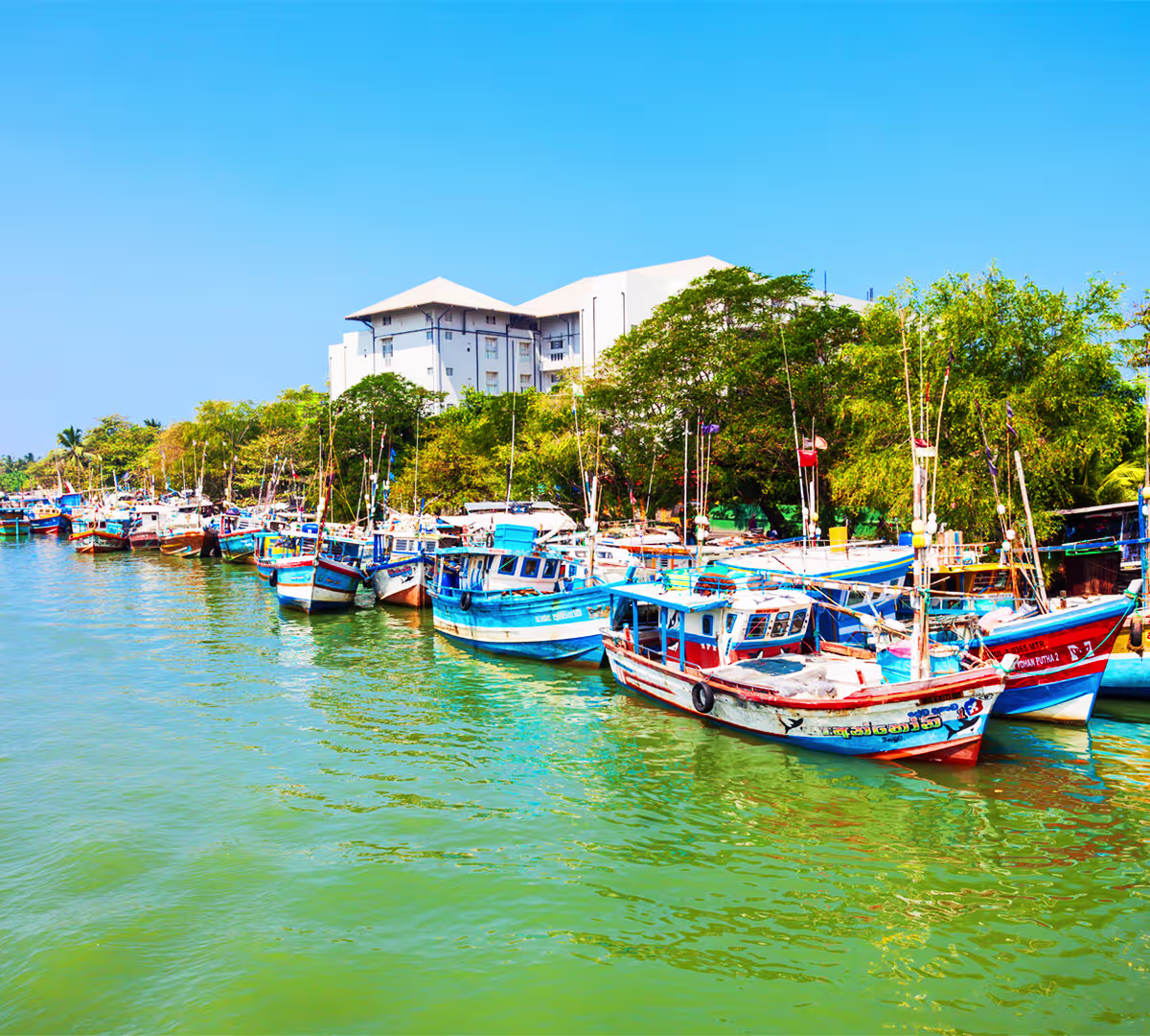 Negombo Lagoon 