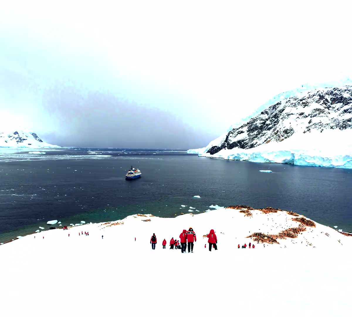 South Shetland Islands 