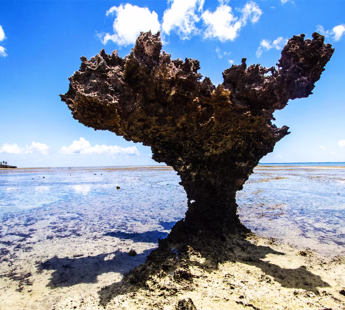 Quirimbas Archipelago