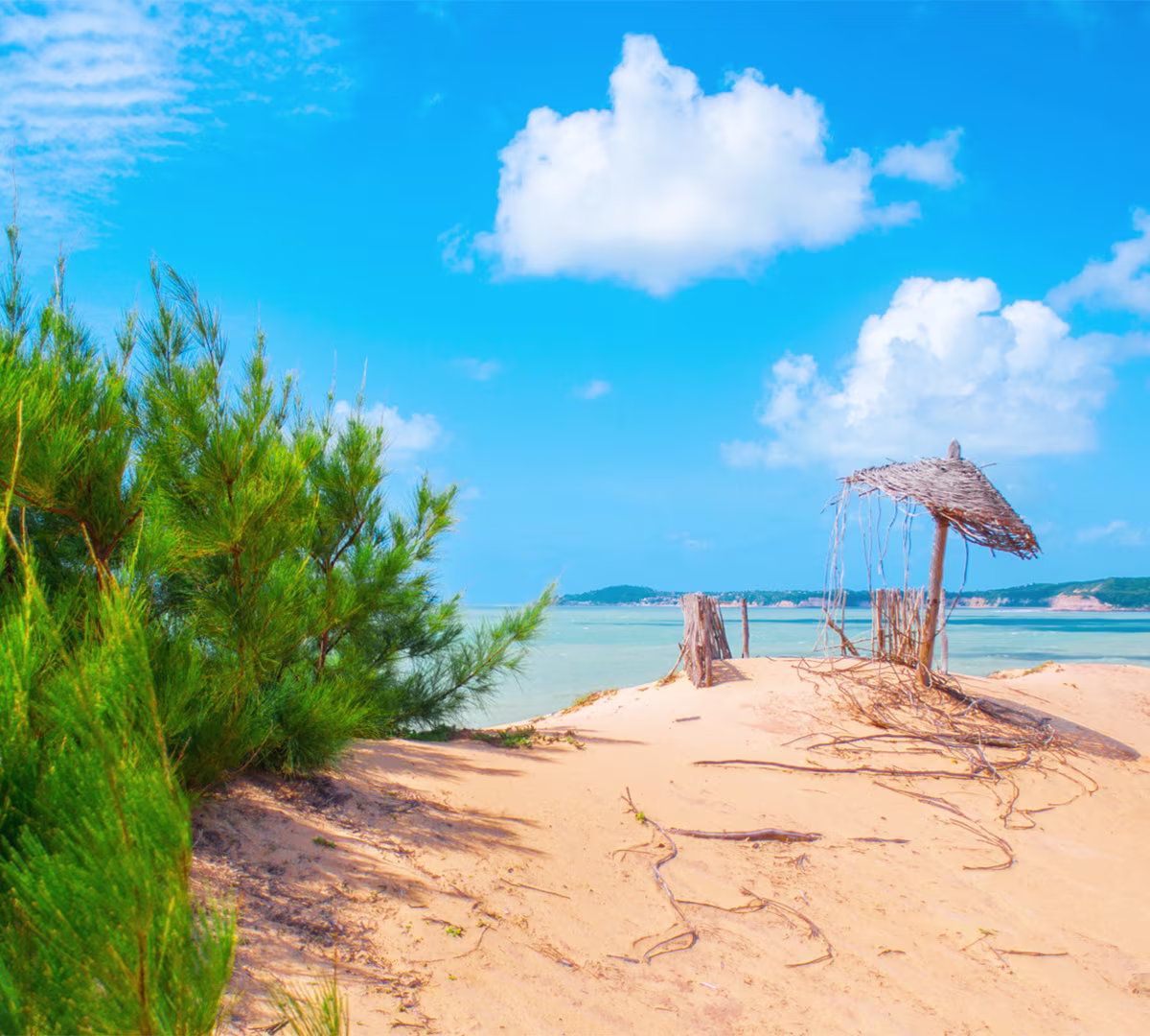 Tofo Beach