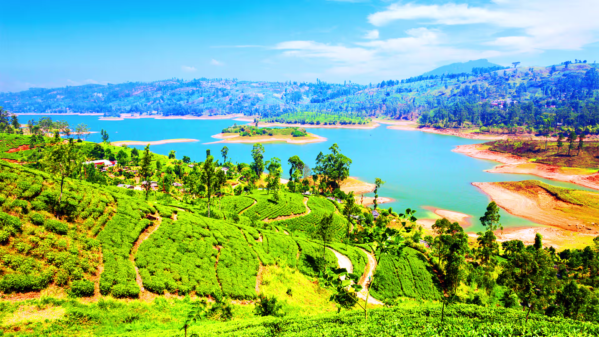 Scenic view of Nuwara Eliya