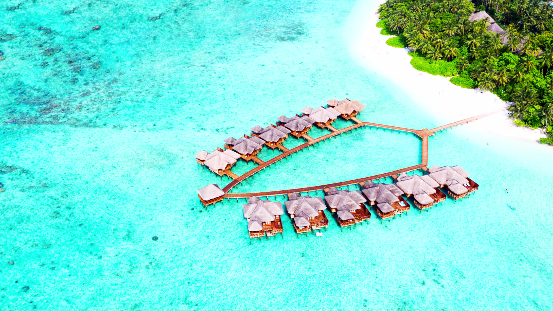 All-Inclusive