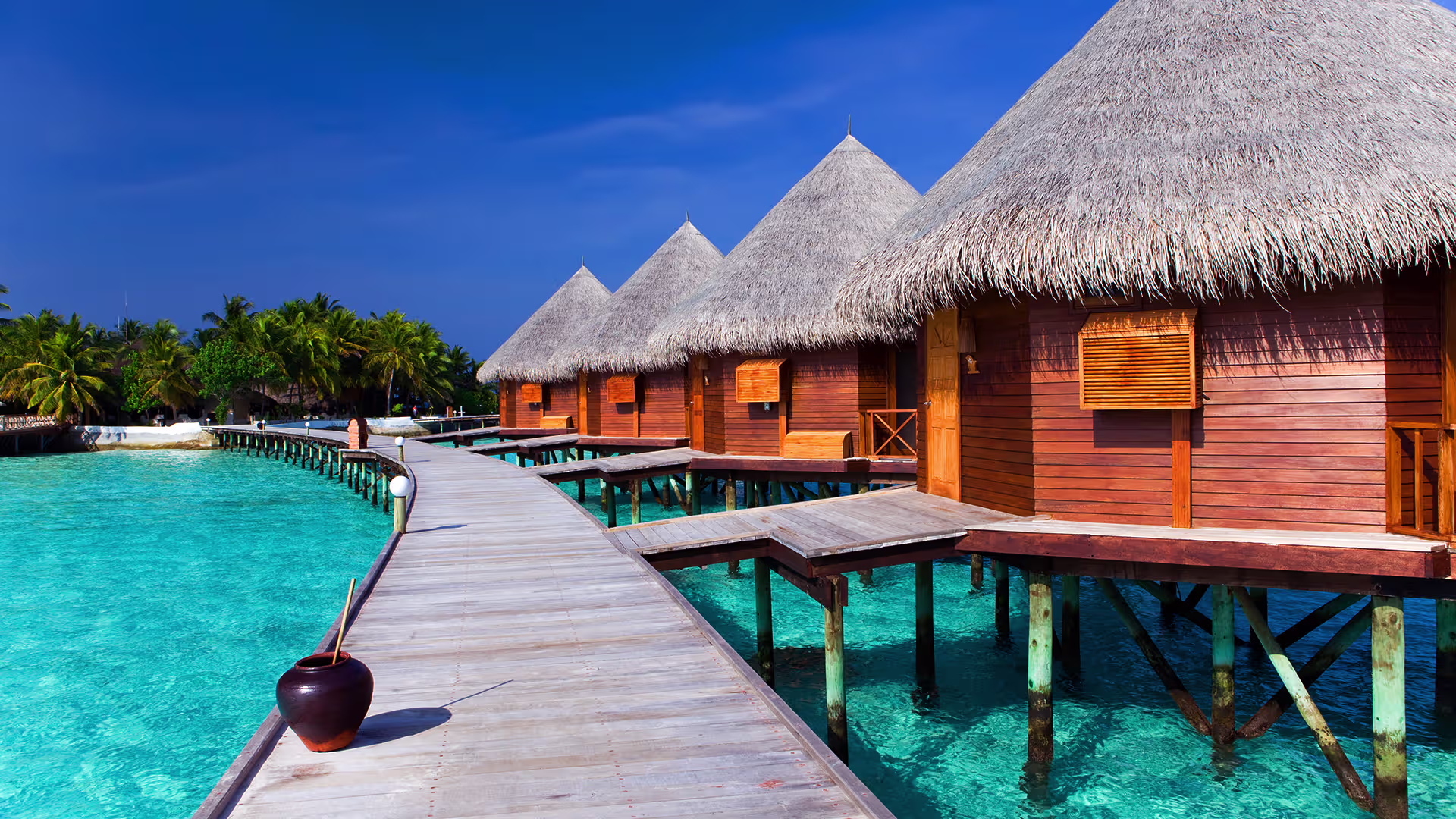 All-Inclusive Luxury 