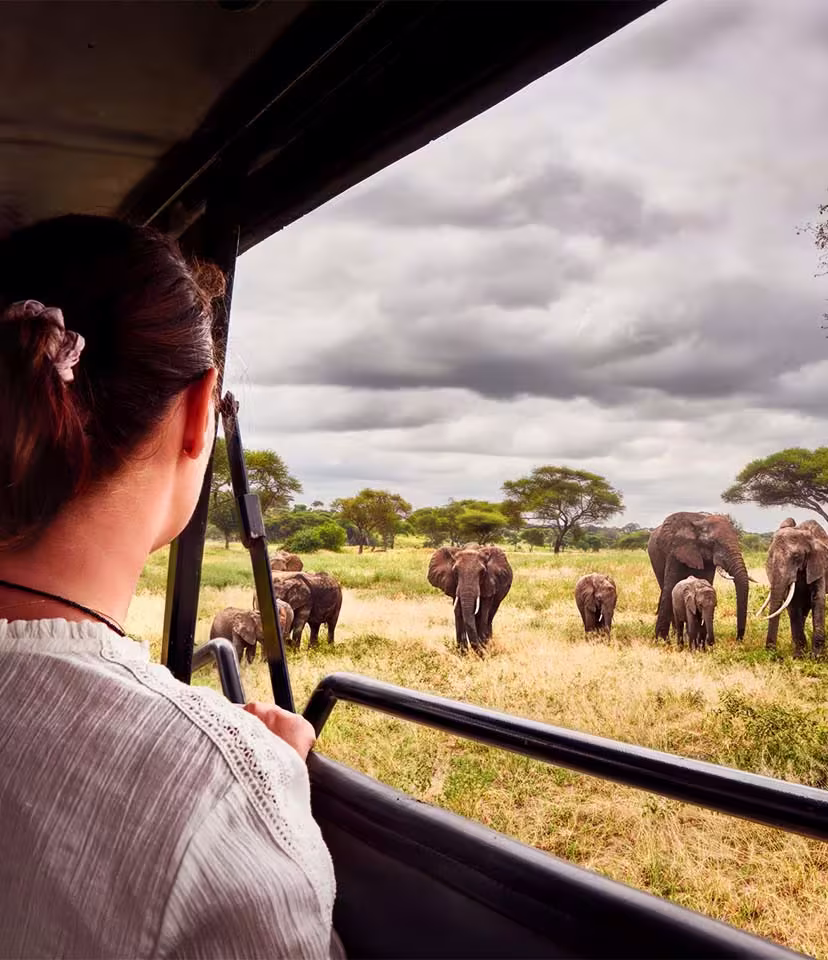 Botswana Safari  Holidays
