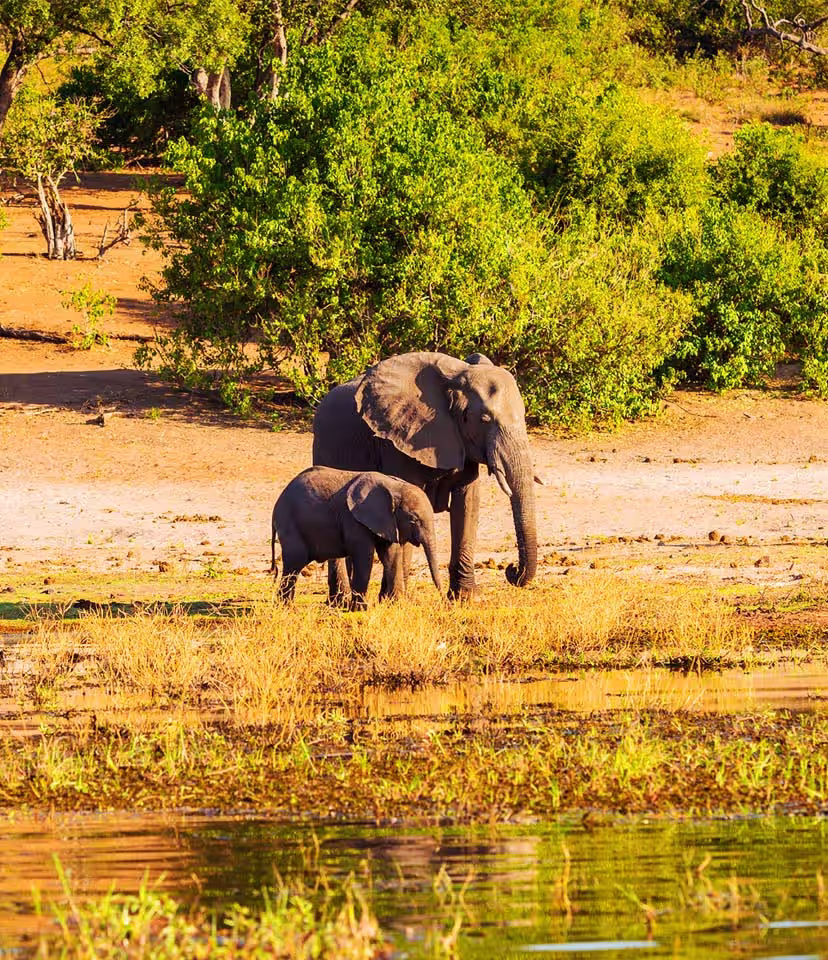 Zimbabwe Safari  Holidays