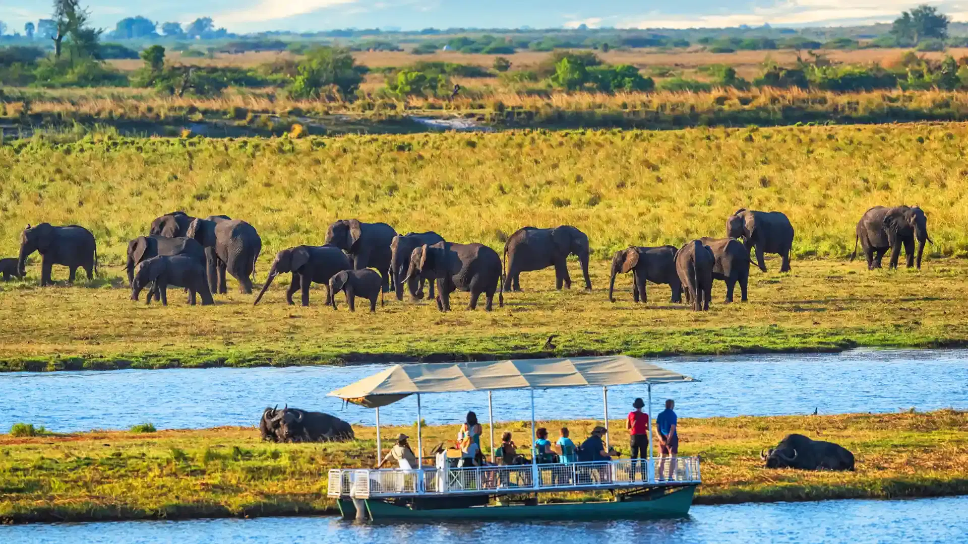Victoria Falls & Chobe: Luxury River & Safari Journey
