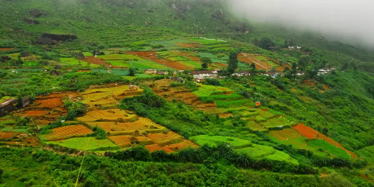 Sri Lanka: From Tea Hills to Ocean Shores