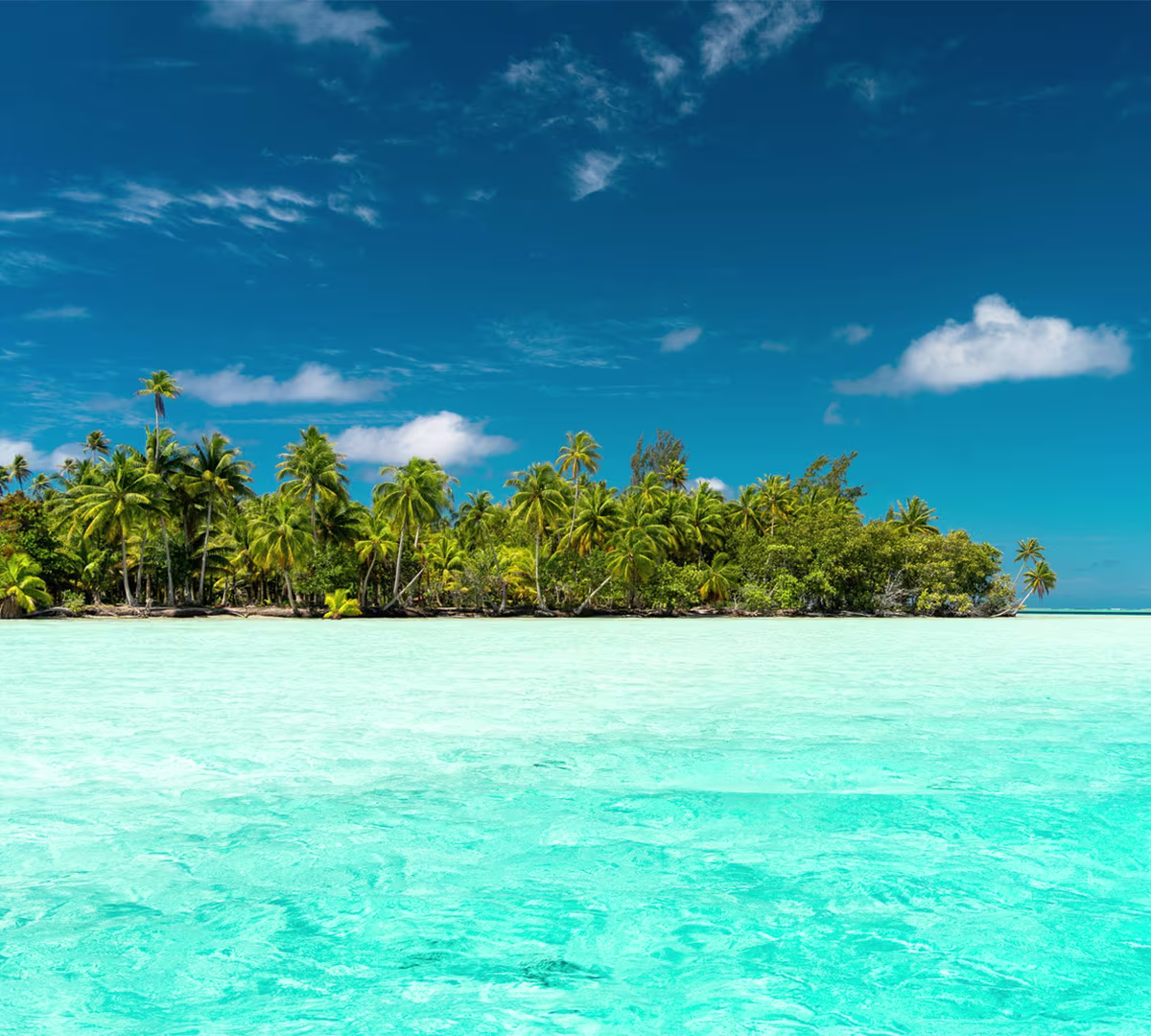 Destination highlights