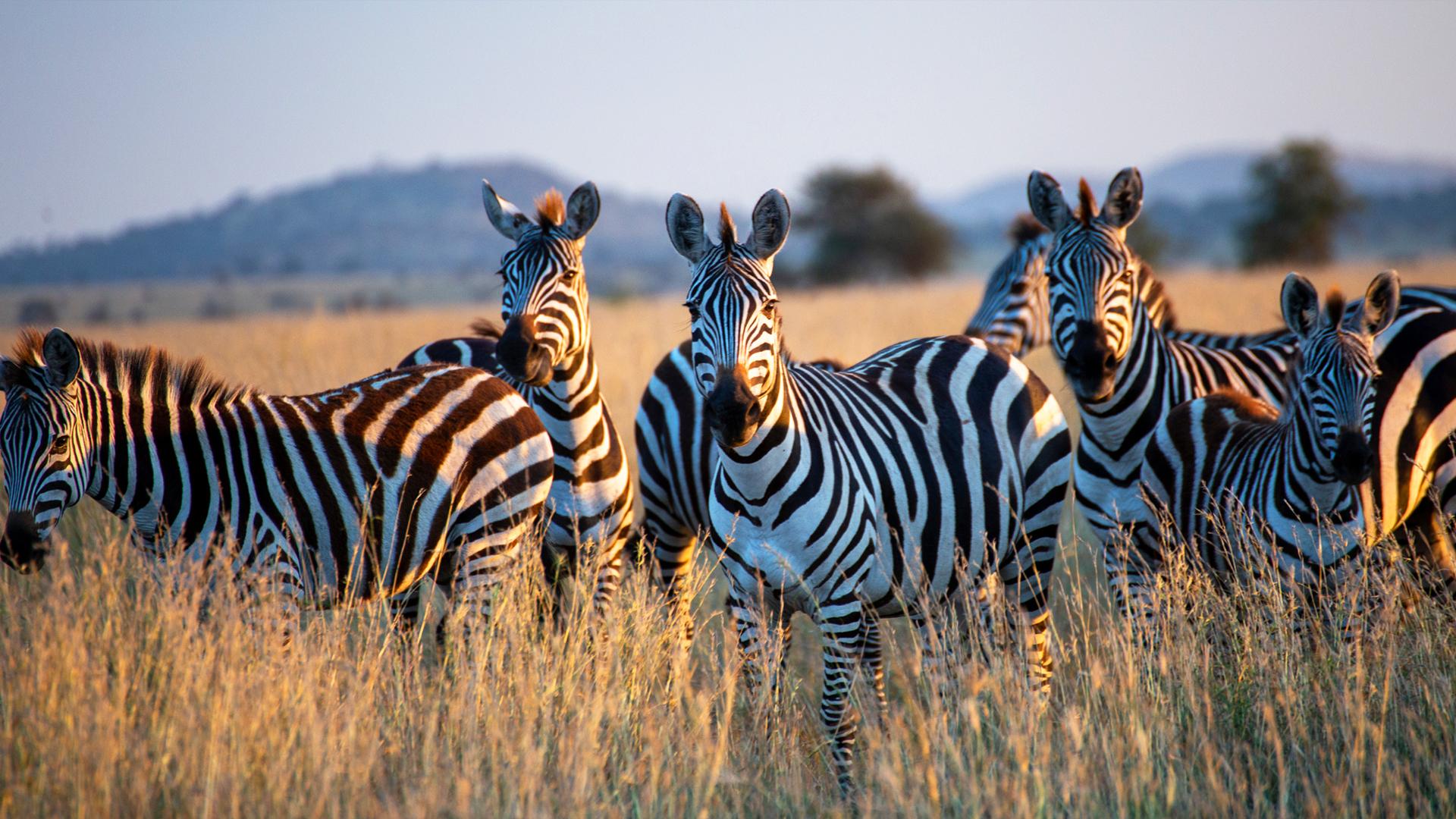 Destination highlights