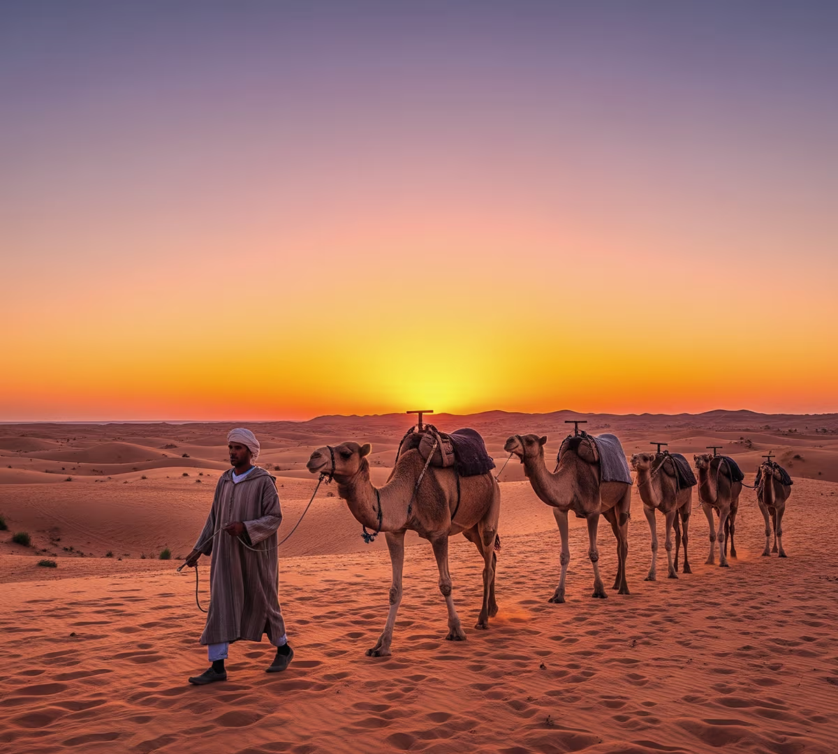 Destination highlights