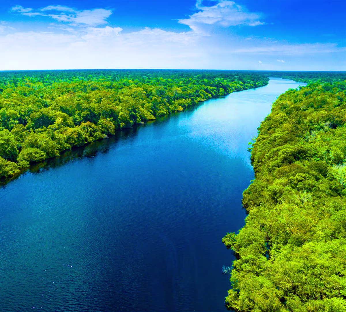 Amazon Rainforest, Brazil