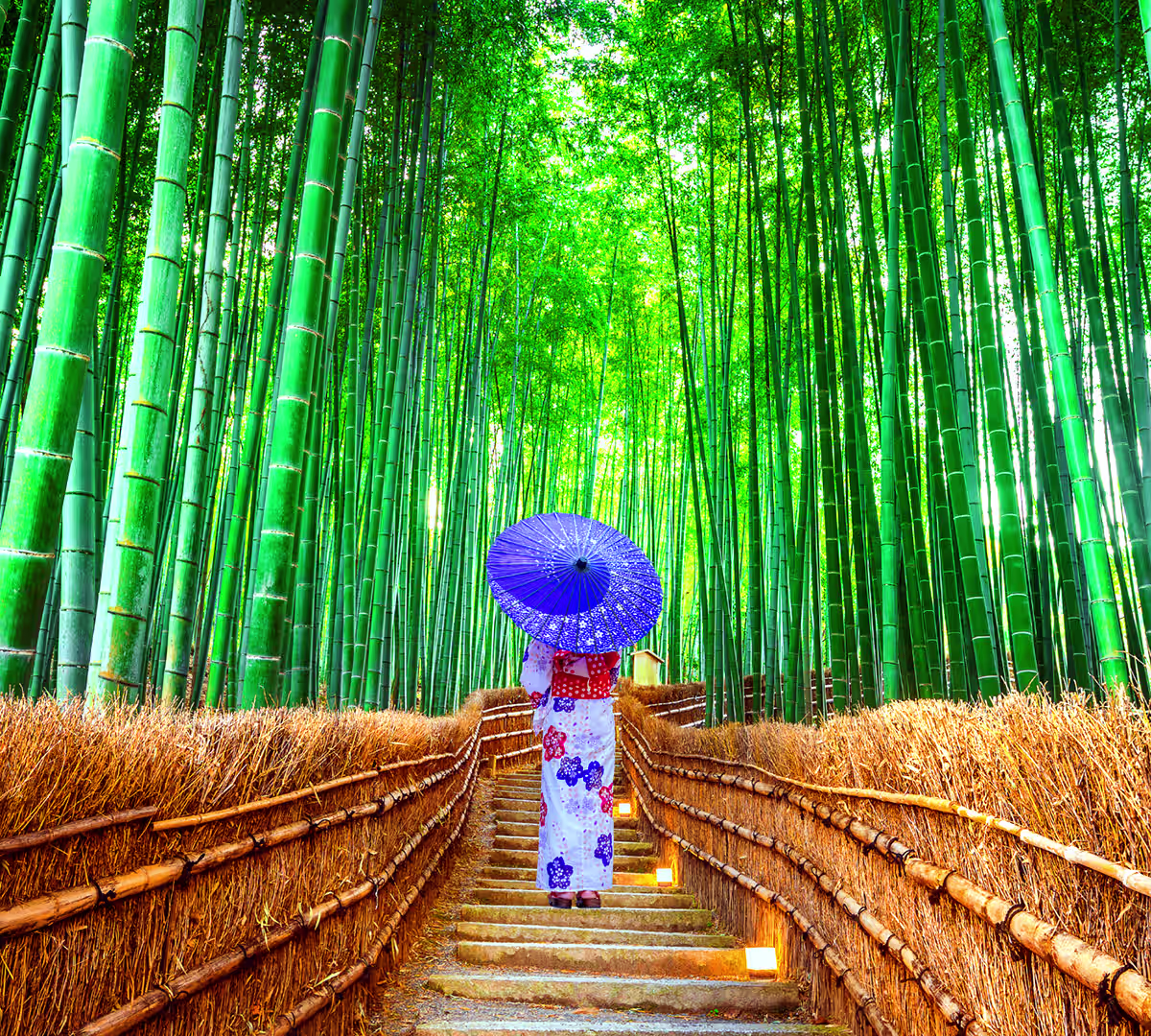 Arashiyama Bamboo Grove