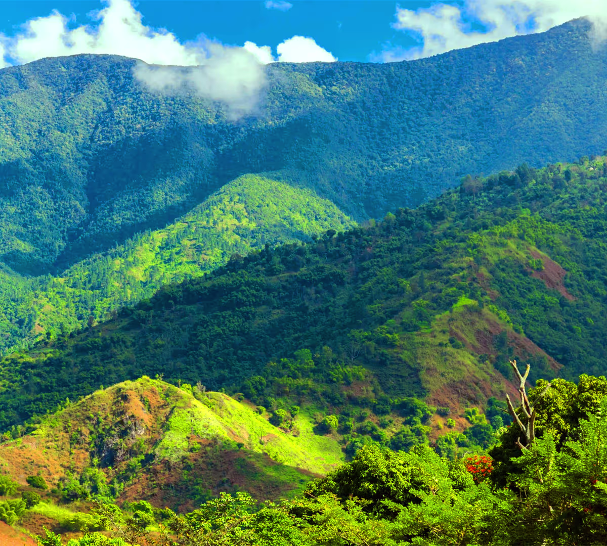 Blue Mountains
