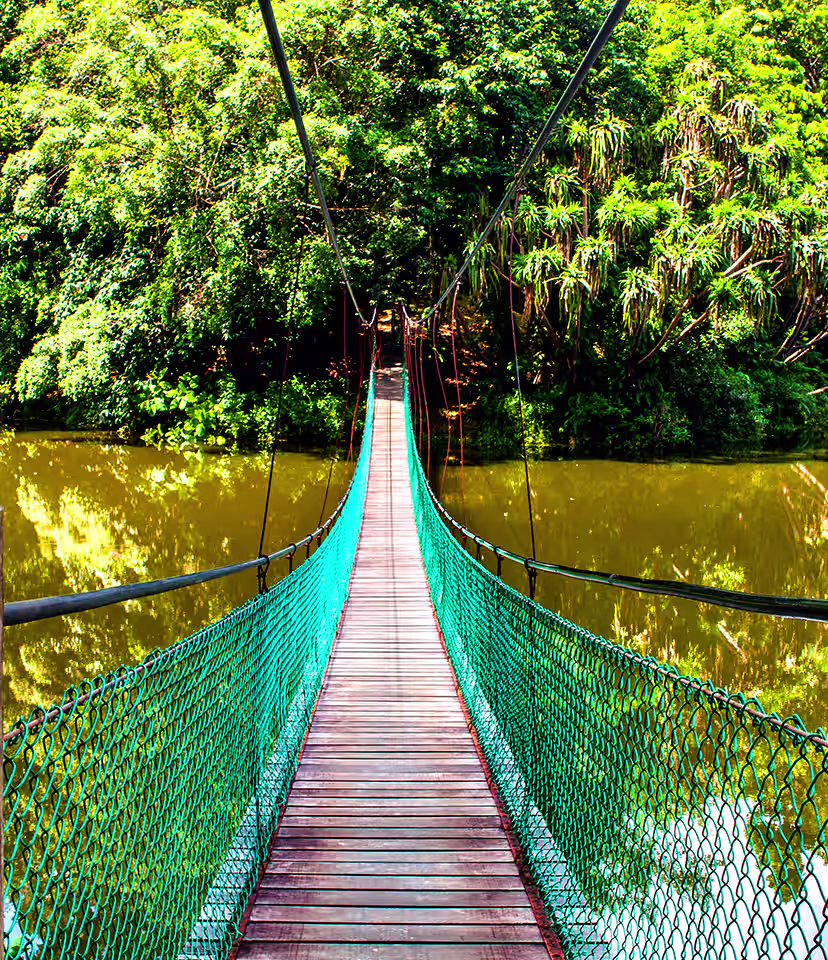 Danum Valley Conservation Area