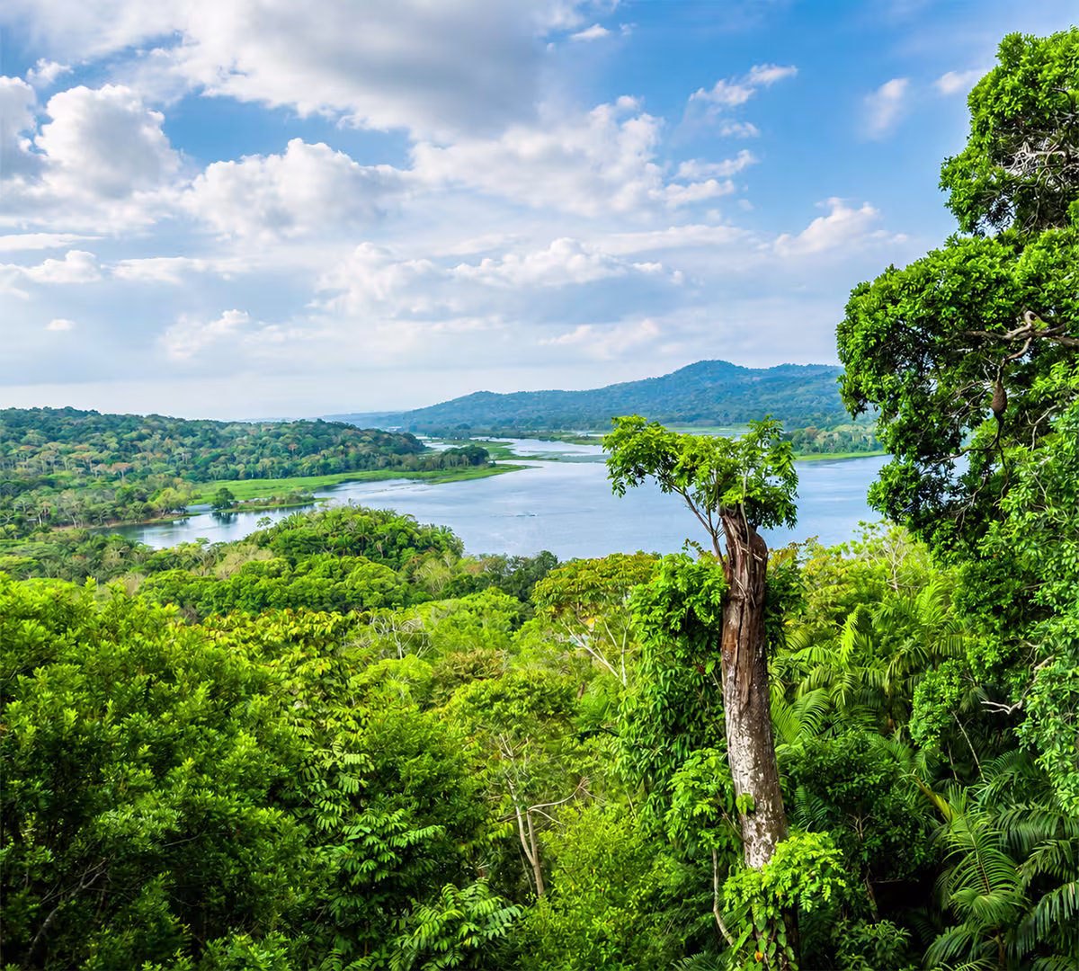 Gatun Lake