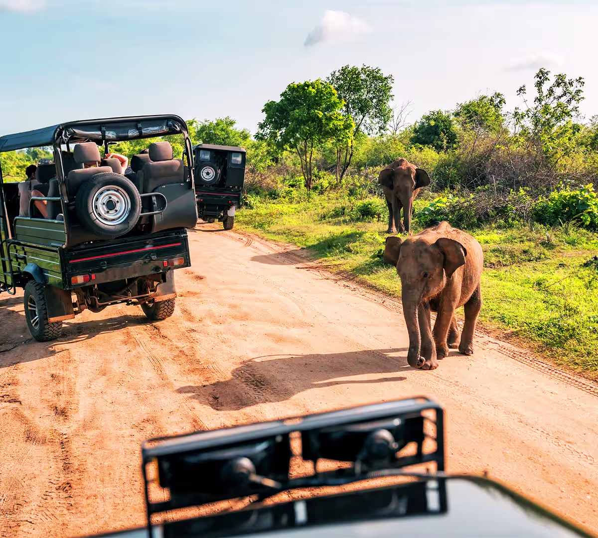 Gorongosa National Park