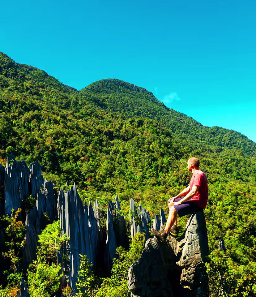 Gunung Mulu National Park