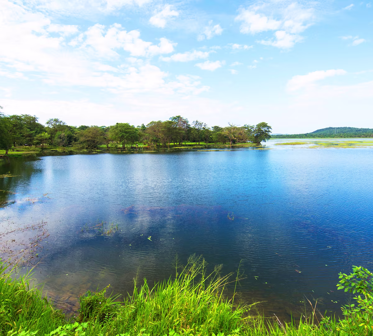 Habarana Lake