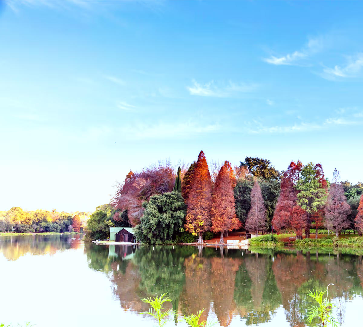 Johannesburg Botanical Garden