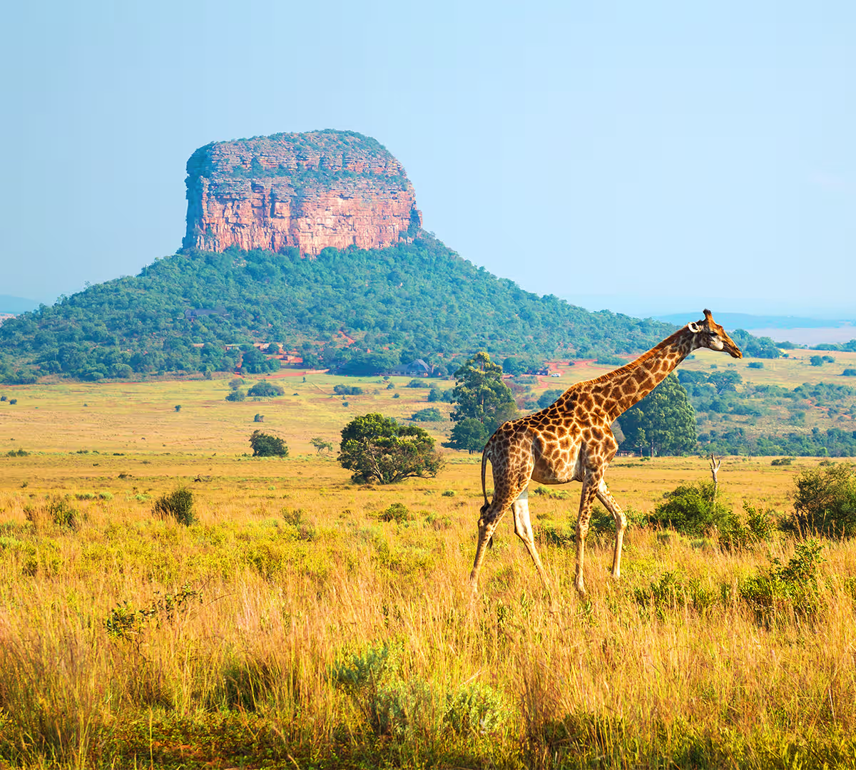 Kruger National Park