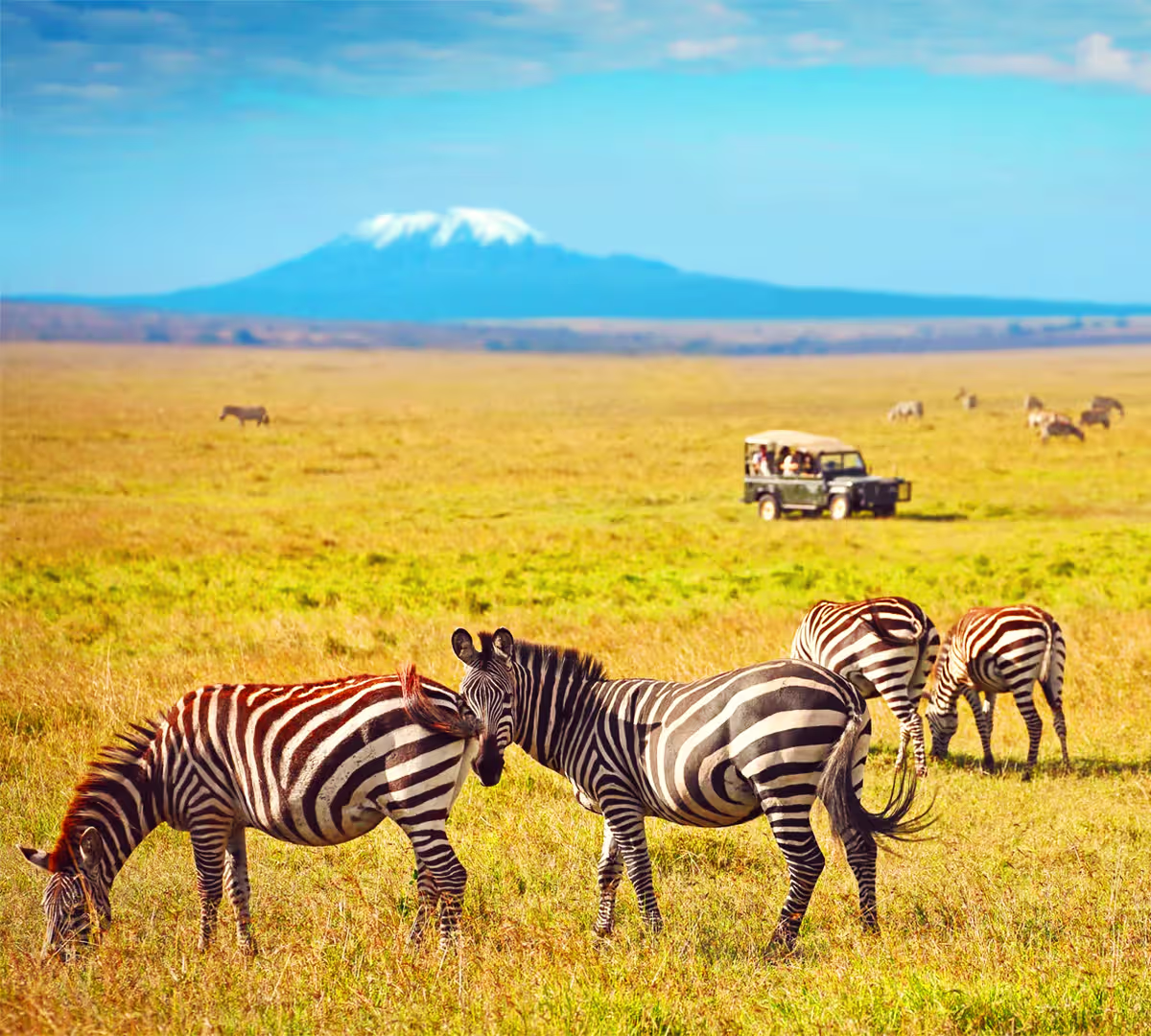 Lake Manyara National Park