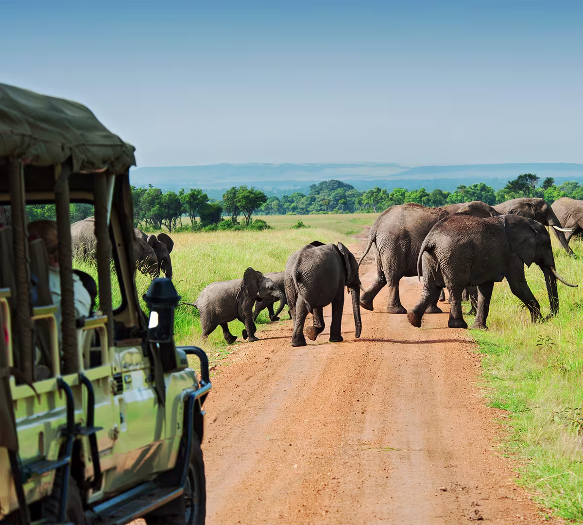 Maasai Mara National Reserve, Kenya