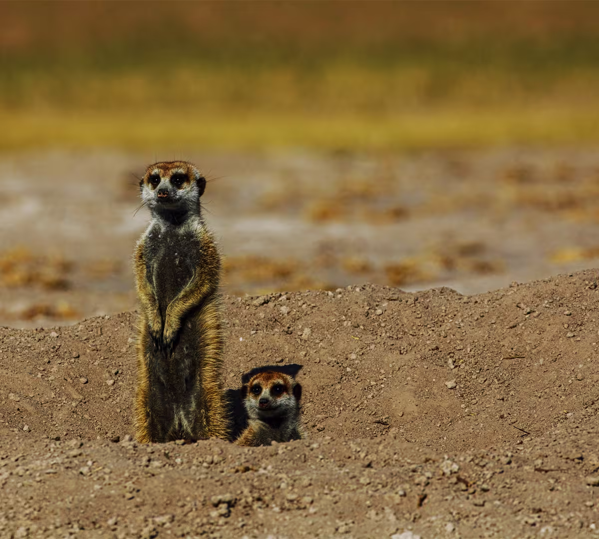 Makgadikgadi Pans
