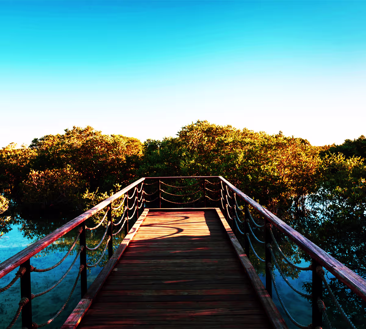 Mangrove National Park
