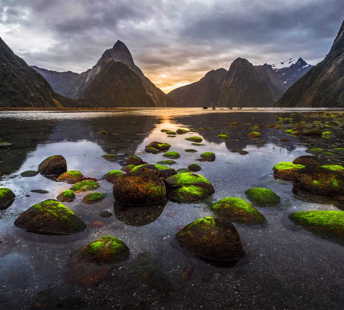 Milford Sound, Fiordland