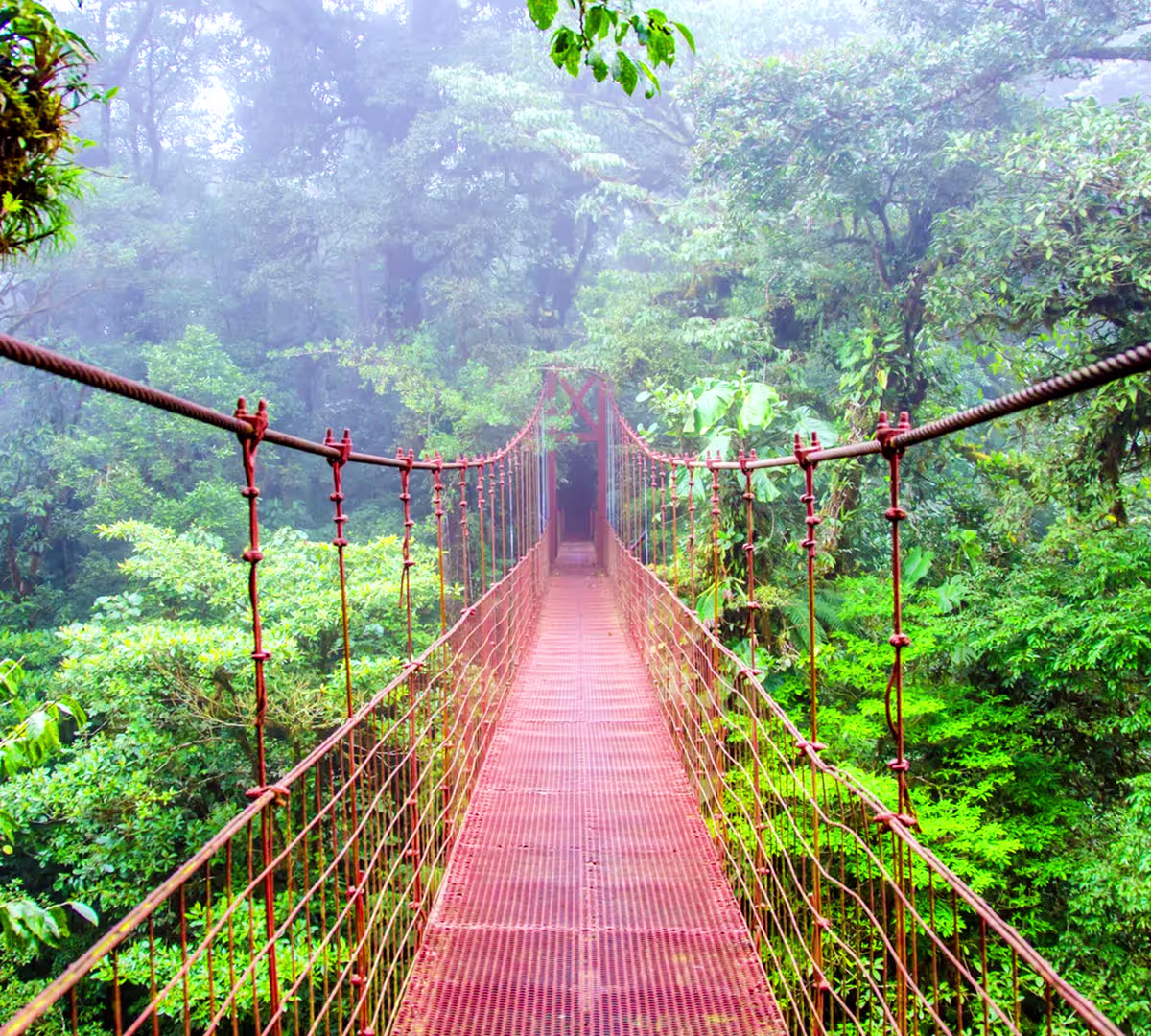Monteverde Cloud Forest Reserve