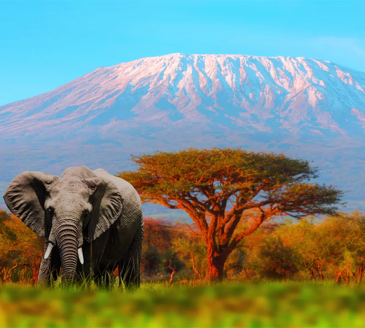 Mount Kilimanjaro – Uhuru Peak