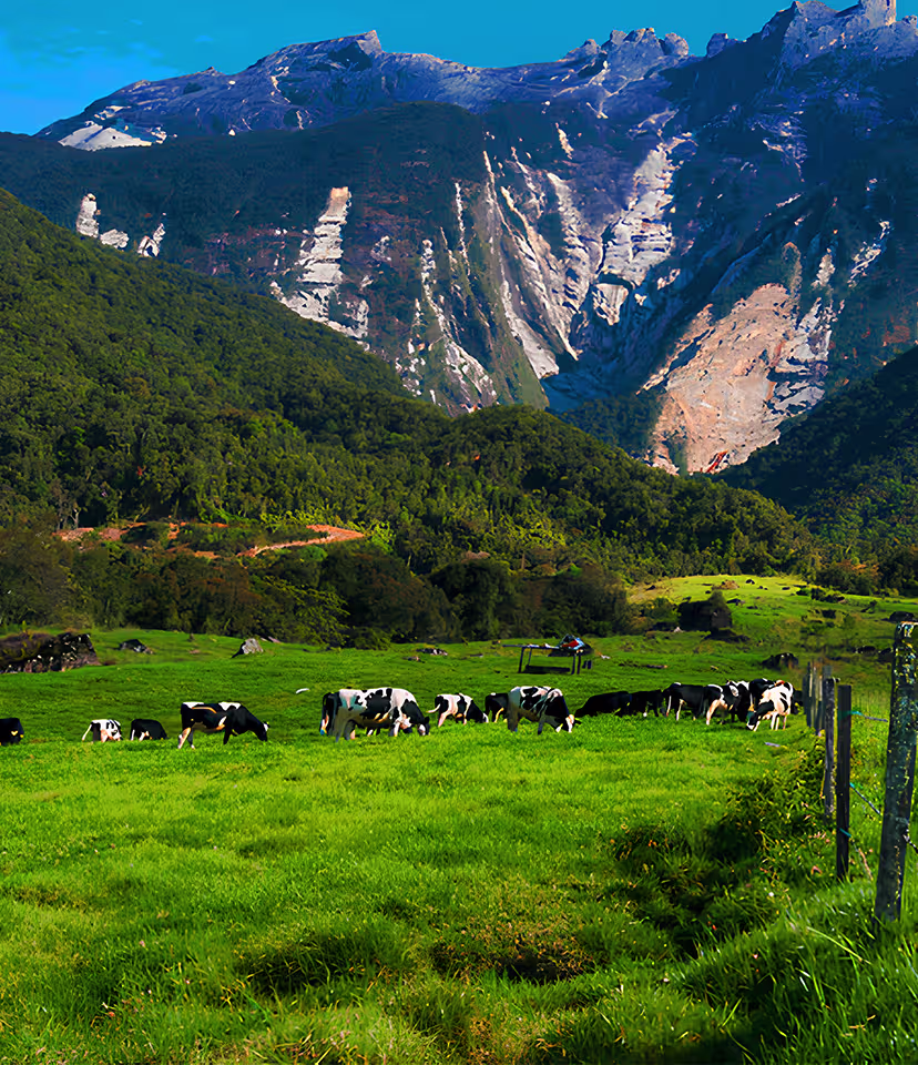 Mount Kinabalu National Park