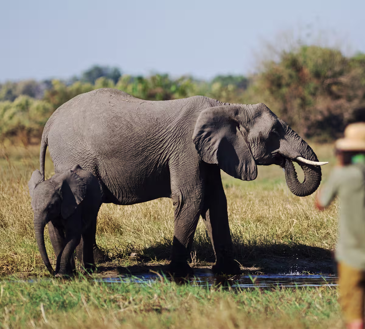 Okavango Delta