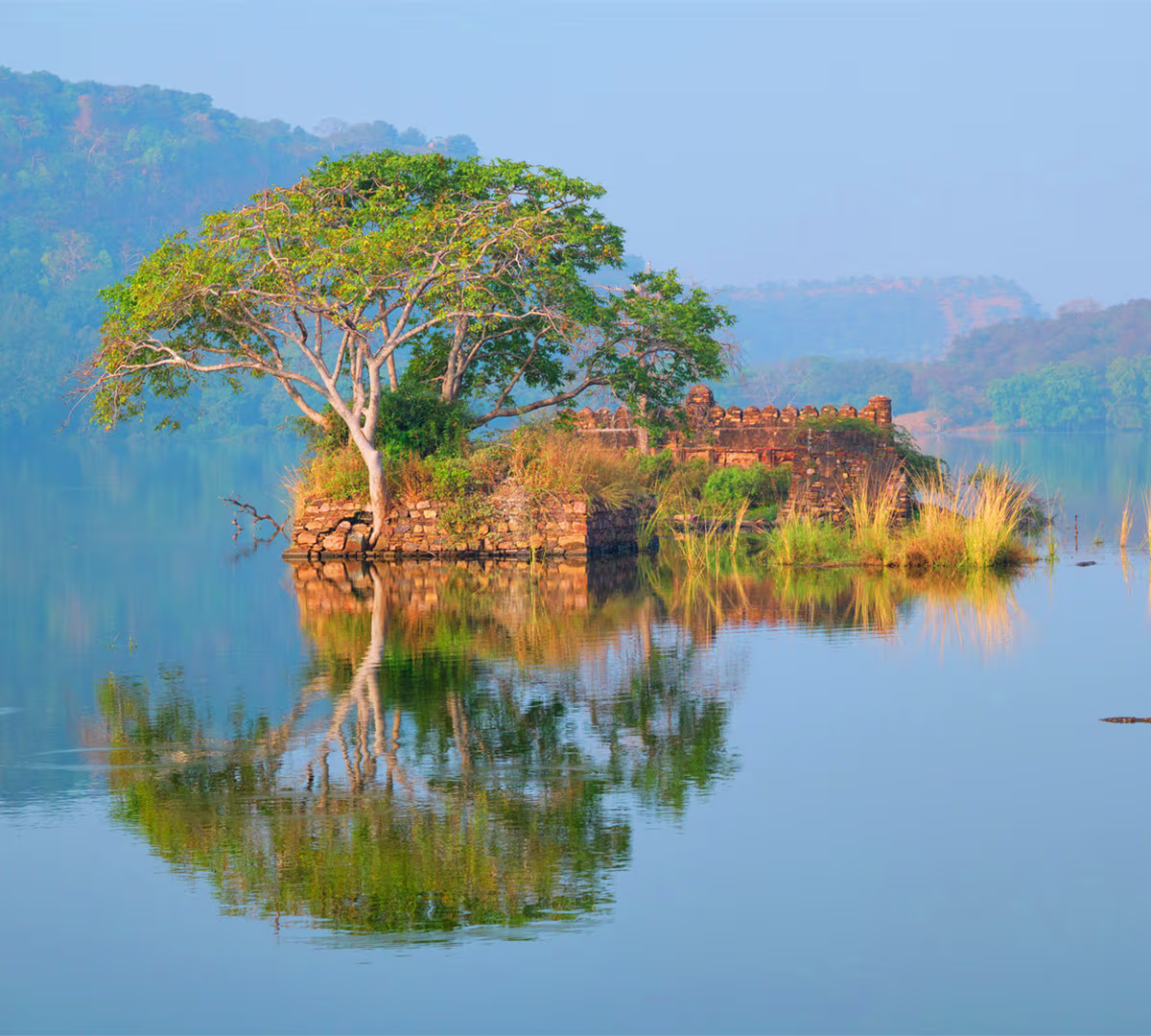 Padam Talao