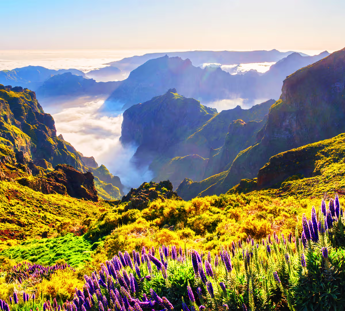 Pico do Arieiro
