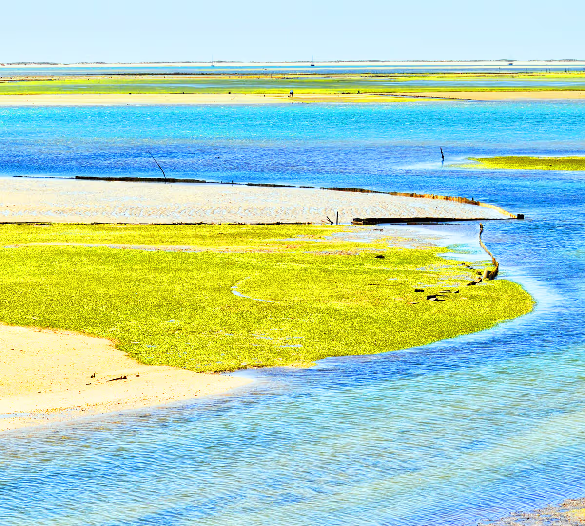 Ria Formosa Natural Park