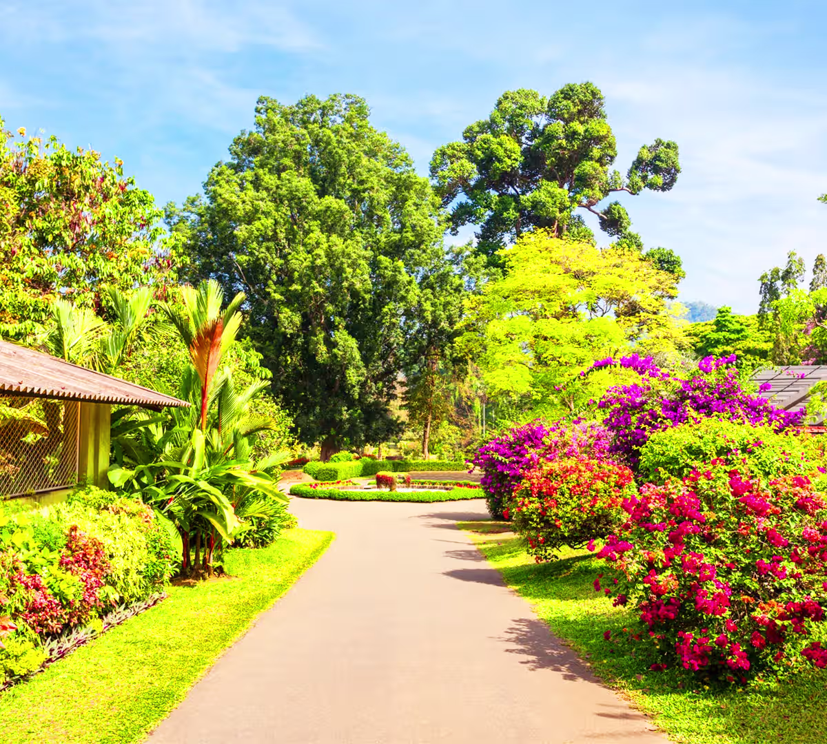 Royal Botanical Gardens, Peradeniya