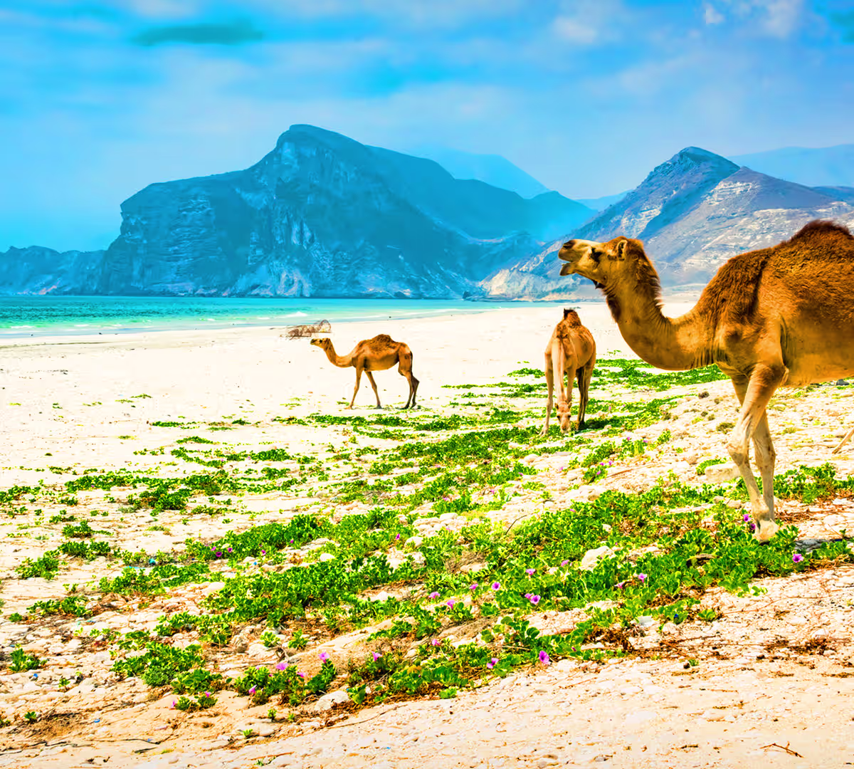 Salalah