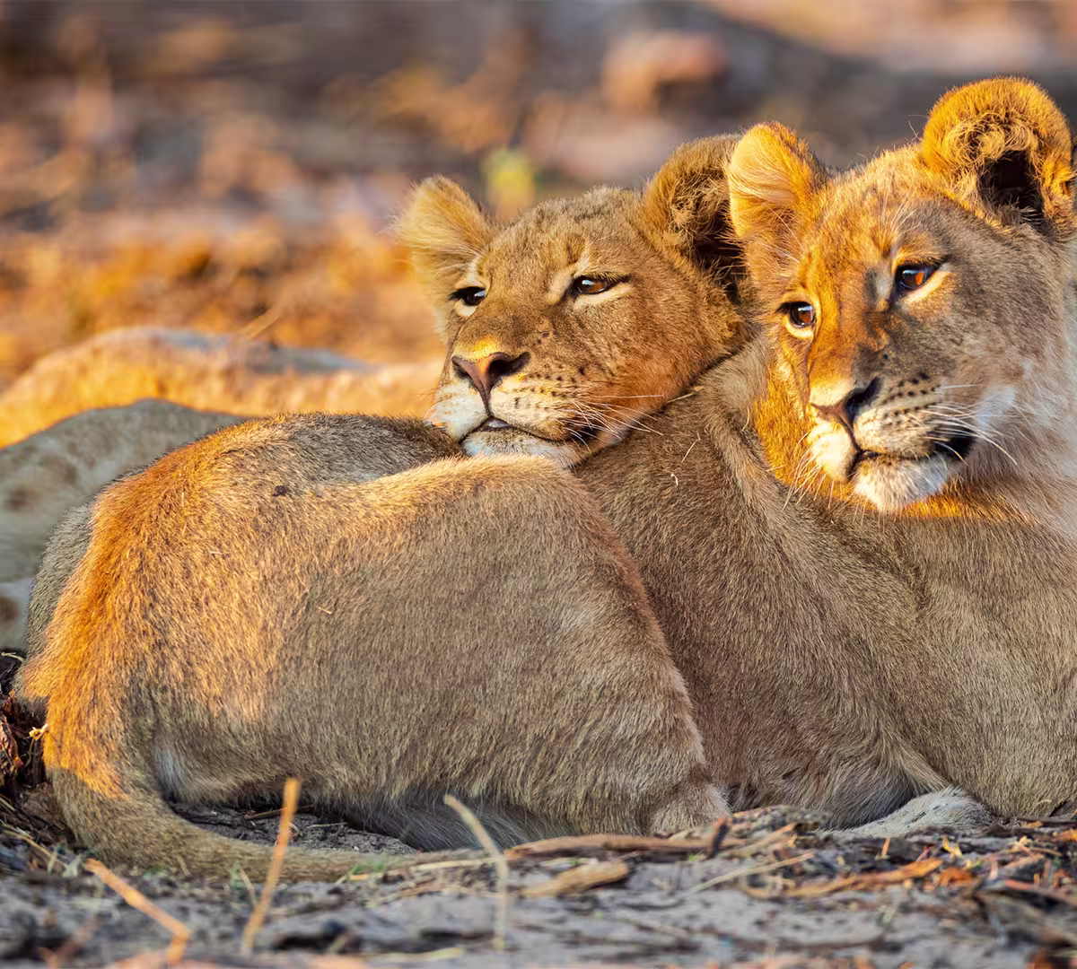 Serengeti National Park, Tanzania