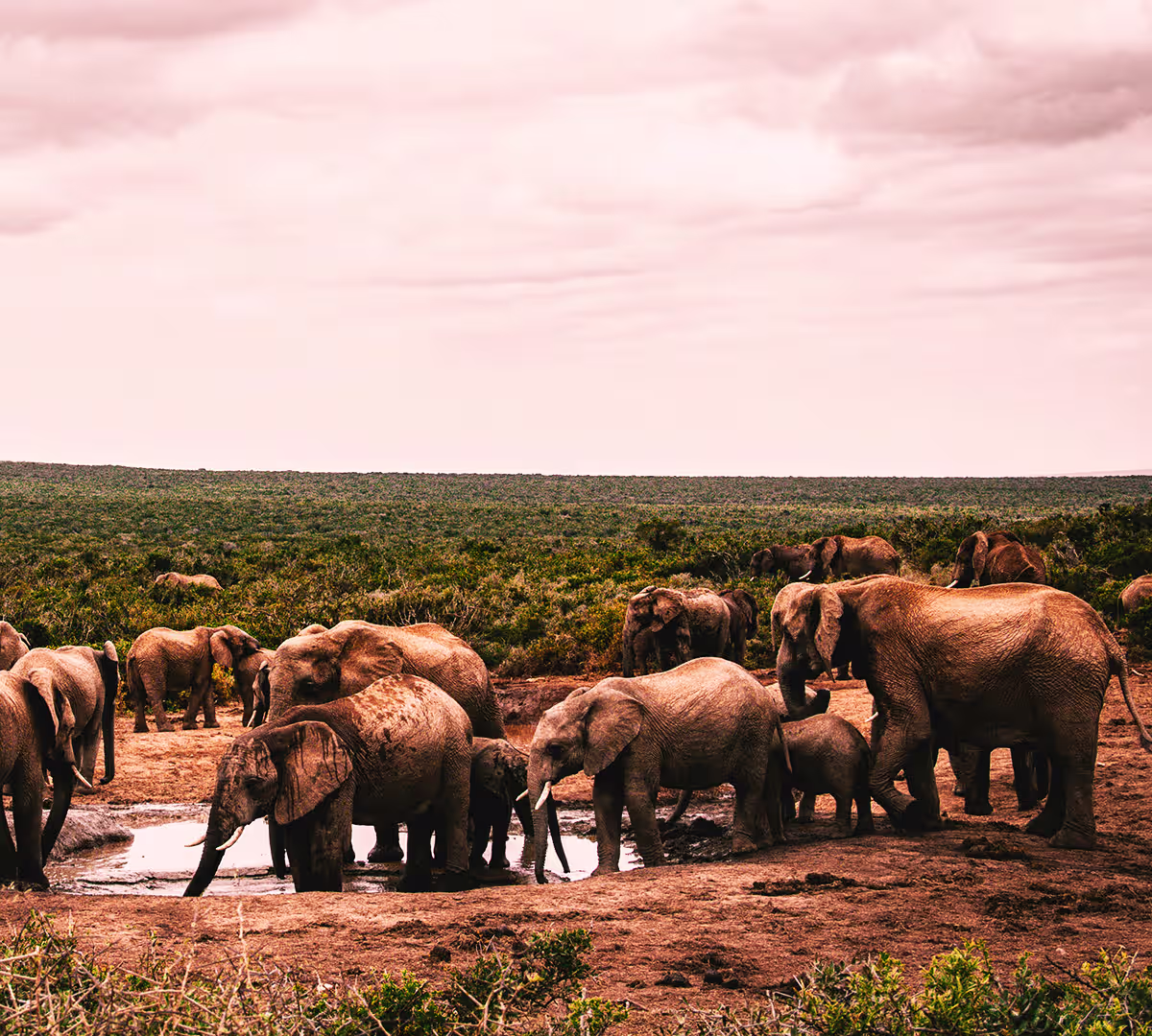 Serengeti National Park