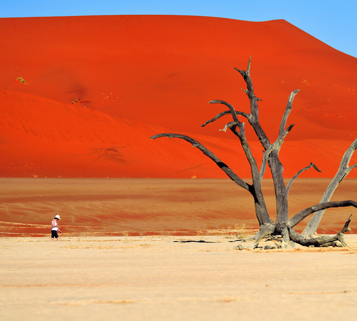 Sossusvlei & Deadvlei