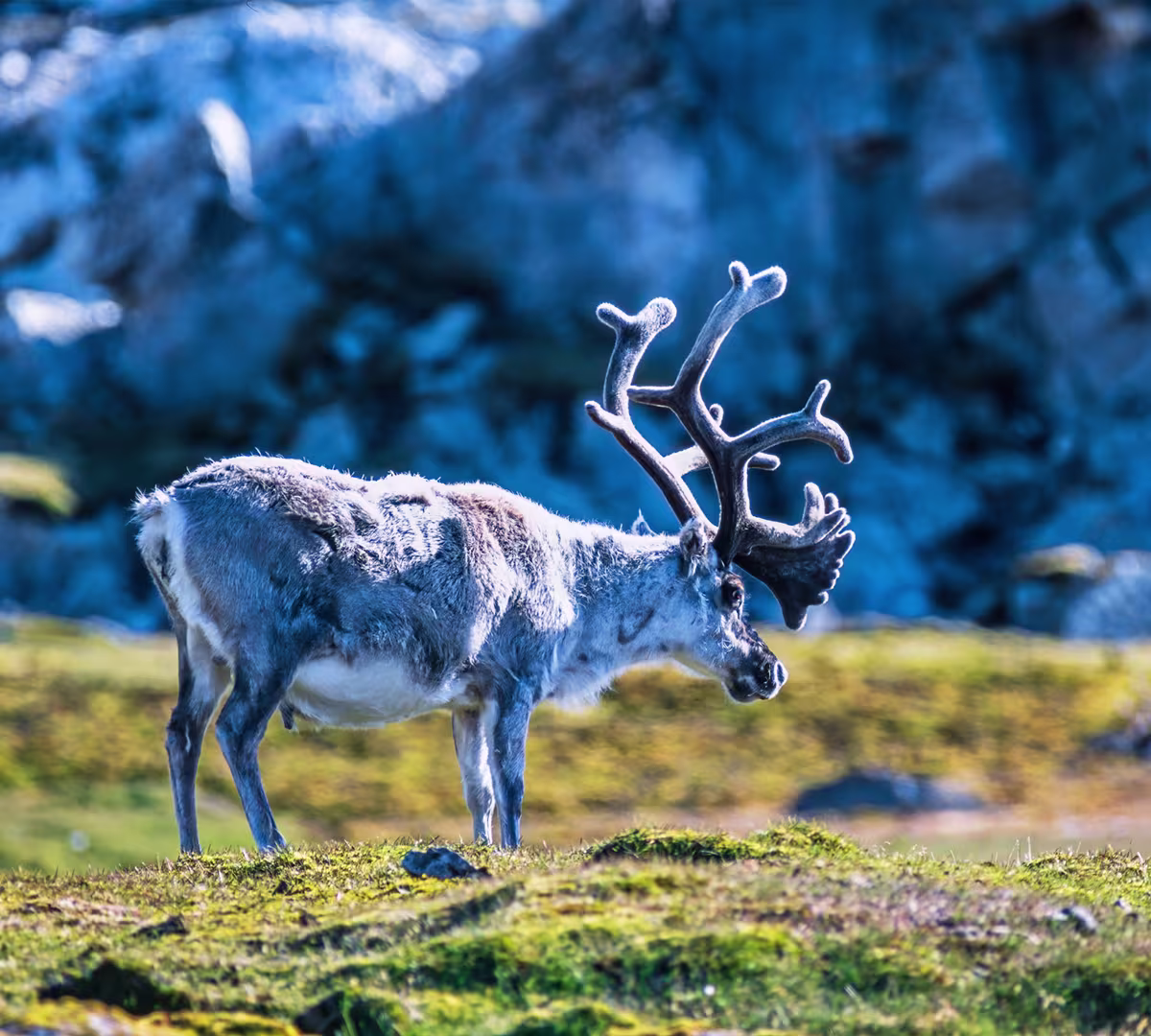 Svalbard, Norway
