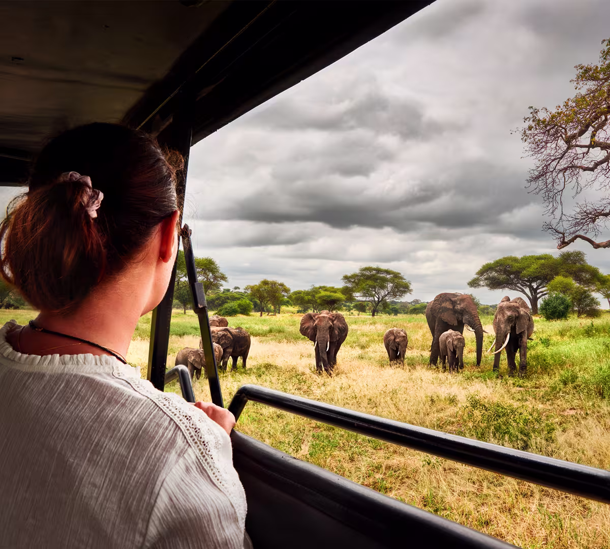 Things to Do in Tanzania