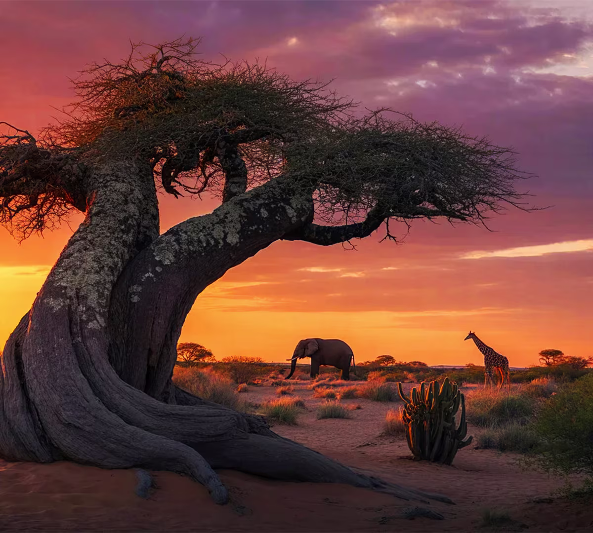 Tarangire National Park