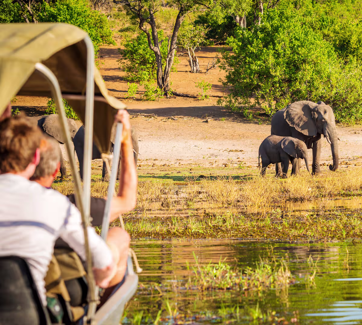 Things to Do in Botswana